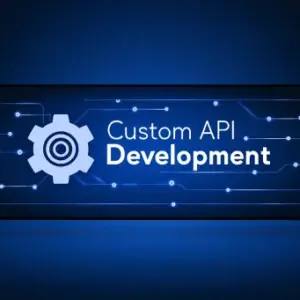Custom API Development